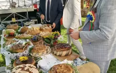 IMG20250817173754 (Copy)