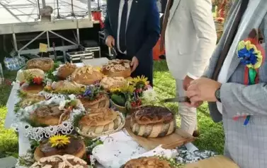 IMG20250817173753 (Copy)