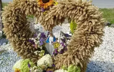 IMG20250817132618 (Copy)