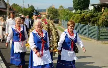 Poch&oacute;d dożynkowy. Korow&oacute;d wielu os&oacute;b ubranych elegancko, a także w stroje ludowe. Kobiety niosą dożynkowe wieńce. Niosą także chleby