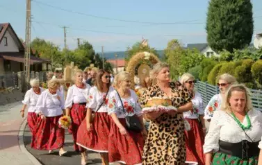 Poch&oacute;d dożynkowy. Korow&oacute;d wielu os&oacute;b ubranych elegancko, a także w stroje ludowe. Kobiety niosą dożynkowe wieńce. Niosą także chleby