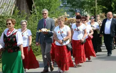 Poch&oacute;d dożynkowy. Korow&oacute;d wielu os&oacute;b ubranych elegancko, a także w stroje ludowe. Kobiety niosą dożynkowe wieńce. Niosą także chleby