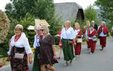 Poch&oacute;d dożynkowy. Korow&oacute;d wielu os&oacute;b ubranych elegancko, a także w stroje ludowe. Kobiety niosą dożynkowe wieńce. Niosą także chleby