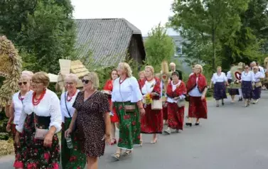 Poch&oacute;d dożynkowy. Korow&oacute;d wielu os&oacute;b ubranych elegancko, a także w stroje ludowe. Kobiety niosą dożynkowe wieńce. Niosą także chleby