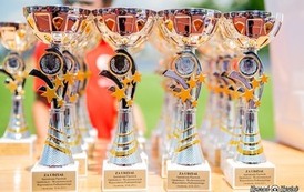 Zdjęcie puchar&oacute;w. 