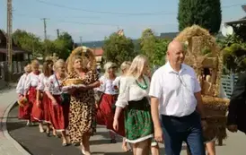 Poch&oacute;d dożynkowy. Korow&oacute;d wielu os&oacute;b ubranych elegancko, a także w stroje ludowe. Kobiety niosą dożynkowe wieńce. Niosą także chleby