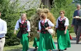 Poch&oacute;d dożynkowy. Korow&oacute;d wielu os&oacute;b ubranych elegancko, a także w stroje ludowe. Kobiety niosą dożynkowe wieńce. Niosą także chleby