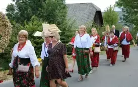 Poch&oacute;d dożynkowy. Korow&oacute;d wielu os&oacute;b ubranych elegancko, a także w stroje ludowe. Kobiety niosą dożynkowe wieńce. Niosą także chleby
