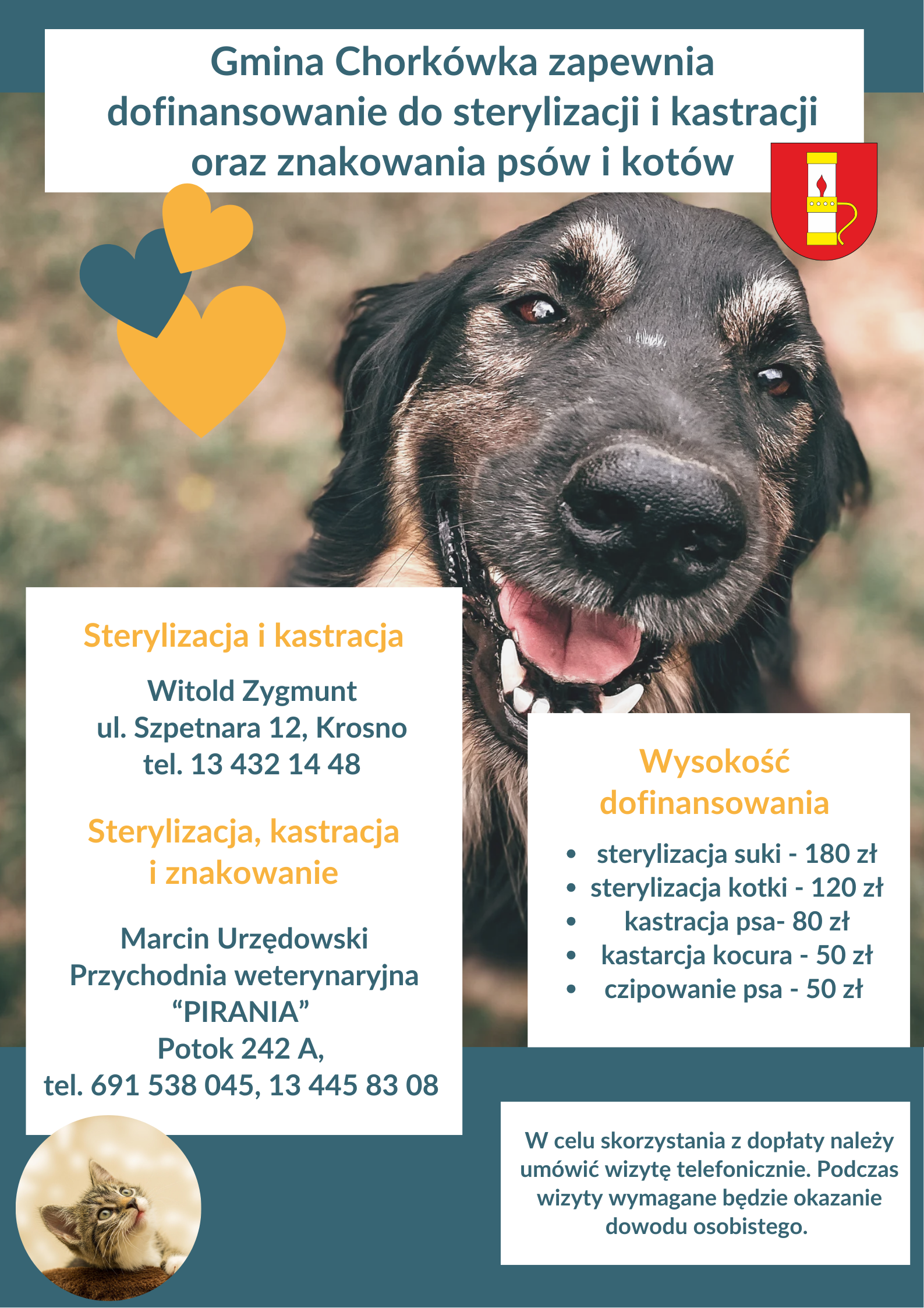 Gmina Chork&oacute;wka zapewnia dofinansowanie do sterylizacji i&nbsp;kastracji oraz&nbsp;znakowania ps&oacute;w i&nbsp;kot&oacute;w