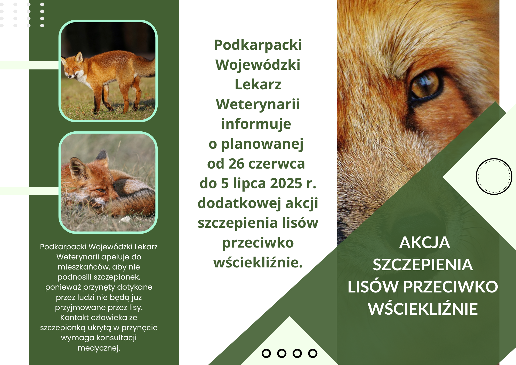 Podkarpacki Wojew&oacute;dzki Lekarz Weterynarii informuje  o&nbsp;planowanej  od 26 czerwca  do 5 lipca 2025 r. dodatkowej akcji szczepienia lis&oacute;w przeciwko wściekliźnie.
