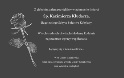 Zdjęcie do ...
