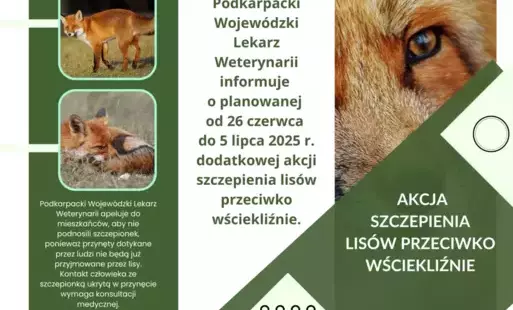 Zdjęcie artykułu z dnia 25-06-2025