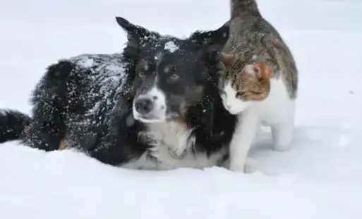 Zdjęcie artykułu z dnia 22-01-2026