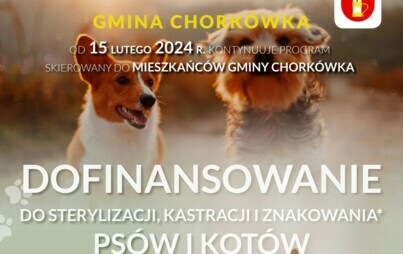 Zdjęcie do Gmina ponownie dopłaca do zabieg&oacute;w sterylizacji, kastracji oraz znakowania