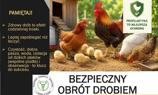 Zdjęcie artykułu z dnia 15-06-2026