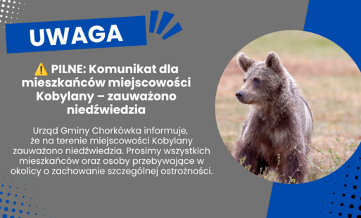 Na ten moment nie potwierdzono bezpośredniego kontaktu zwierzęcia z ludźmi. Sytuacja ma charakter prewencyjny, niemniej jednak wymaga zachowania najwyższej rozwagi.  Główne zasady bezpieczeństwa: Zachowaj dystans: W przypadku zauważenia niedźwiedzia należ