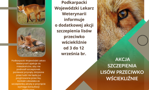 Informujemy o planowanej w dniach 3 – 12 września 2026 r. jesiennej akcji doustnych szczepień lisów przeciwko zakażeniu wirusem wścieklizny.  Prowadzone szczepienie obejmuje w całości teren województwa podkarpackiego.  Uodparnianie lisów prowadzone będzie