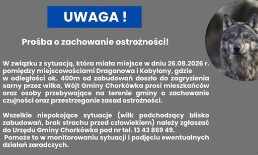 W związku z sytuacją, która miała miejsce w dniu 26.08.2026 r. pomiędzy miejscowościami Draganowa i Kobylany, gdzie w odległości ok. 400m od zabudowań doszło do zagryzienia sarny przez wilka, Wójt Gminy Chorkówka prosi mieszkańców oraz osoby przebywające 