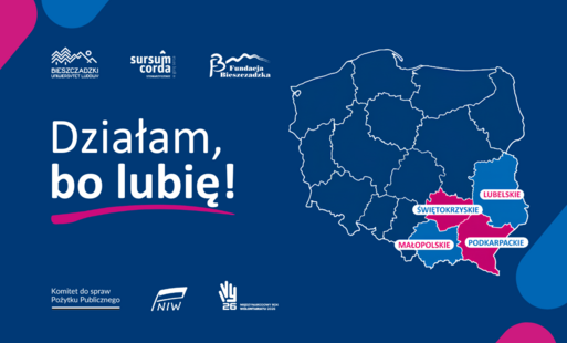 grafika ozdobna 
