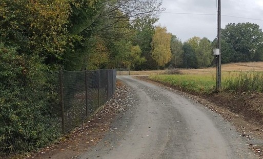 Widok z poziomu drogi utwardzonej kruszywem, prowadzącej prosto w głąb kadru. Droga jest mokra, posypana jesiennymi liśćmi. Po lewej stronie ciągnie się zaorane pole, a po prawej – gęsty pas drzew i krzewów liściastych. W oddali, na końcu drogi, widać zarysy lasu i pojedyncze zabudowania pod ołowianym, pochmurnym niebem. Panuje lekka mgła.